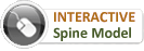 View Interactive Web Features!